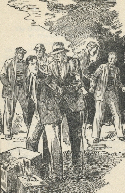 The Shore Road Mystery - original 1928 illustration