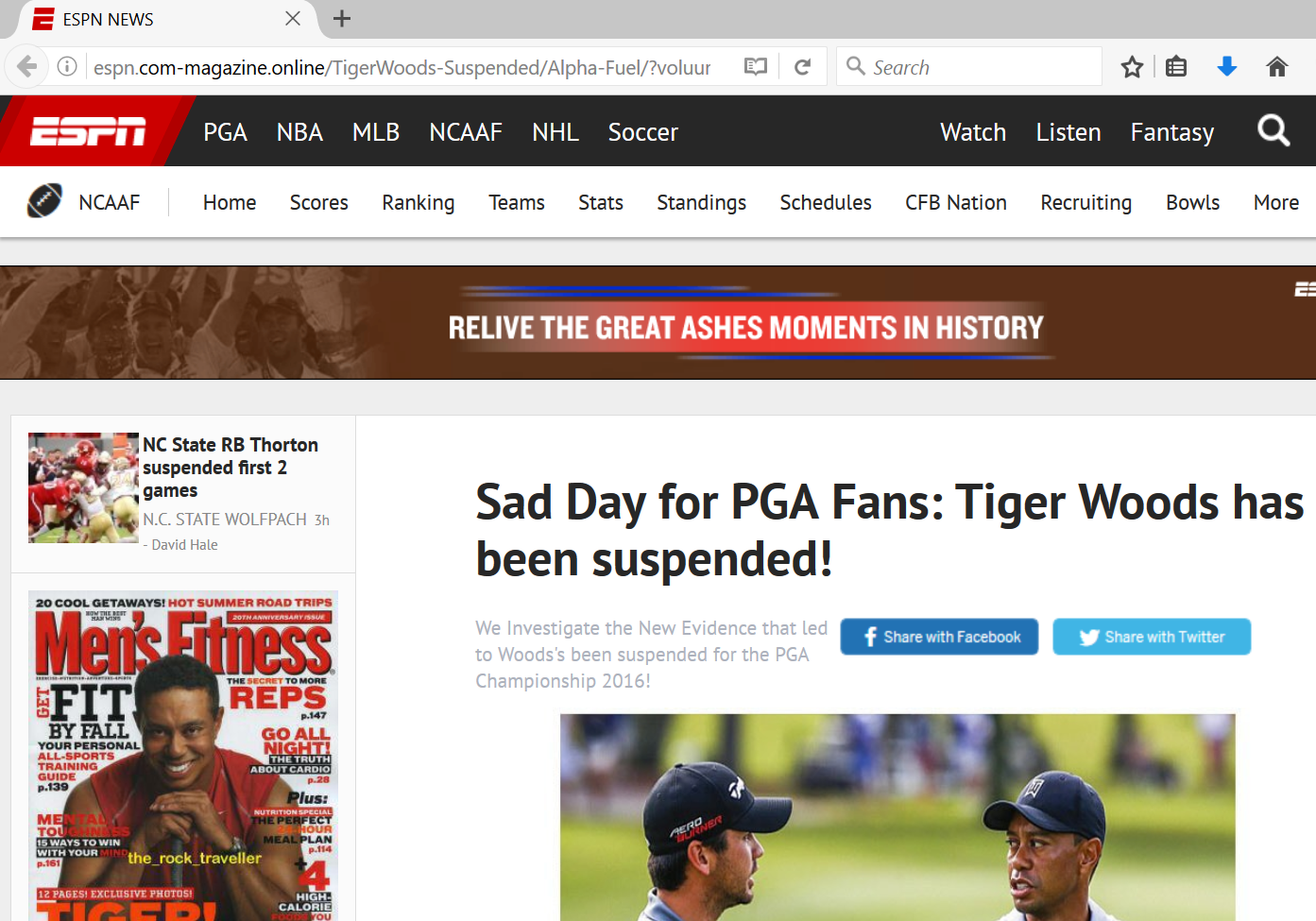 Fake Tiger Woods suspended site